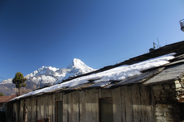 From Pokhara: 4 Day Annapurna Poon Hill with Ghandruk Trek