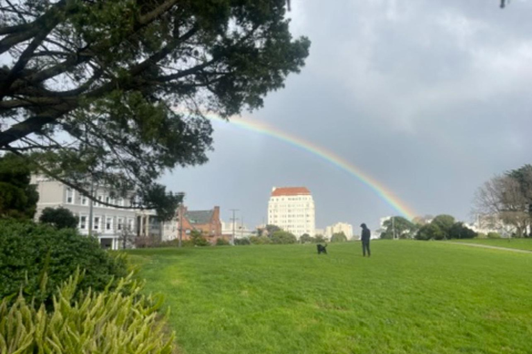 San Francisco: Billionaire's Row e Palace of Fine Arts TourTour a piedi di Billionaire's Row e del Palazzo delle Belle Arti
