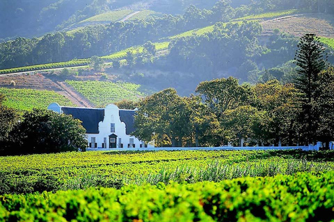 From Cape Town: Stellenbosch Wine Estates Tour with Tastings