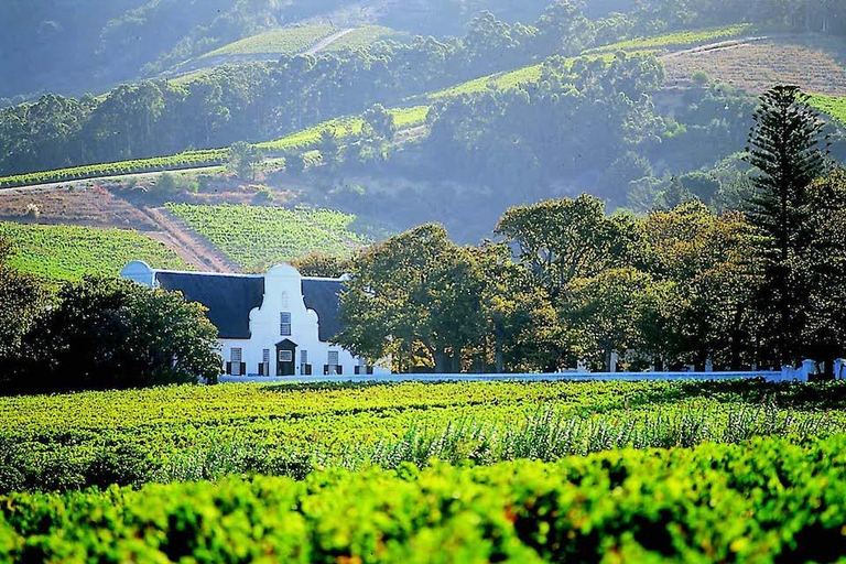 From Cape Town: Stellenbosch Wine Estates Tour with Tastings