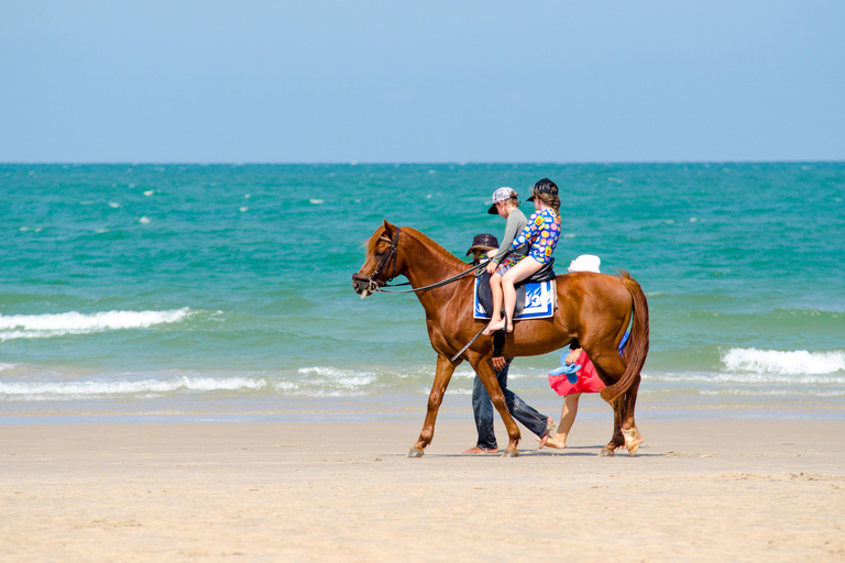 Martinique: Horseback Ride to Grand Macabou & Ocean Views