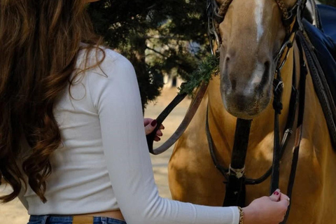 巴库骑马体验：邂逅世界名驹标准套餐