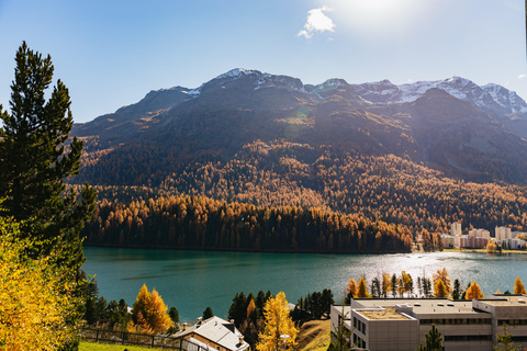 Swiss Alps by Train: Bernina & St. Moritz from Milan Tour with Standard Carriage