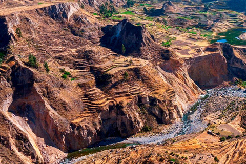 COLCA TREK - 2 DAGAR - DEN BÄSTA VANDRINGENfrån Arequipa: vandring 2 dagar 1 natt - colca canyon