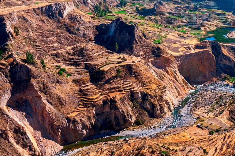 COLCA TREK - 2 DAGAR - DEN BÄSTA VANDRINGENfrån Arequipa: vandring 2 dagar 1 natt - colca canyon