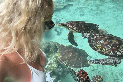 Sansibar:Schwimmen mit Schildkröten in der Salaam-Höhle