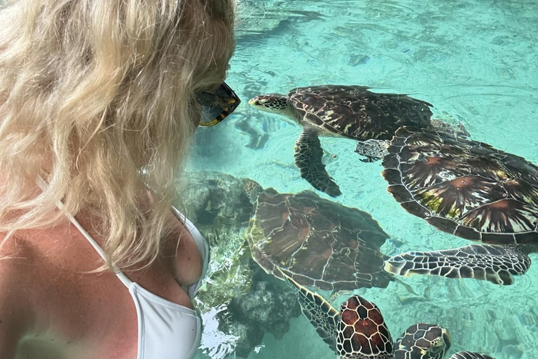 Zanzibar:Swimming with turtles in salaam cave