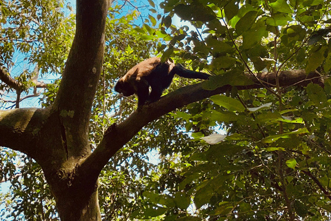 Visite de la favela de Vidigal
