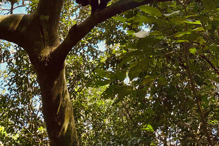 Visite de la favela de Vidigal