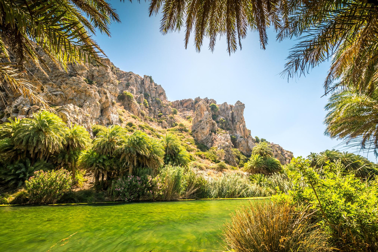 Kourtaliotiko Gorge River Trek & Preveli Beach with Lunch