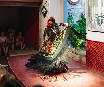 Sevilla: Casa de la Memoria Flamenco Show