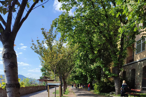 Budapest: Castle District Walking Tour with Local Guide