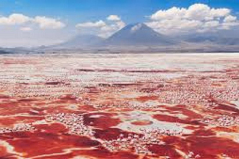 Beste dagtrip naar Lake Natron - kilinge adventures