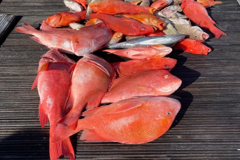 Fischen auf den Seychellen