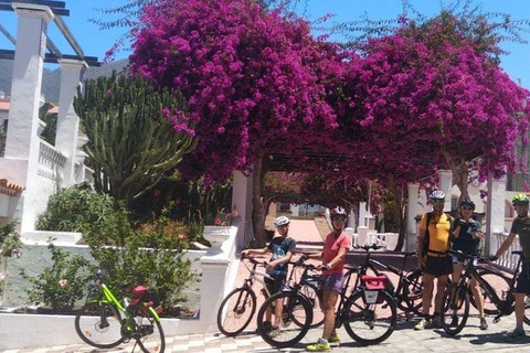 La Palma: Geführte EBike-Tour (Trekking)