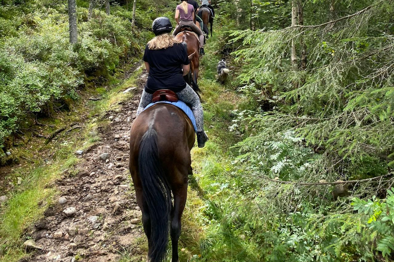 San Diego: Scenic Horseback Ride Through Nature Trails