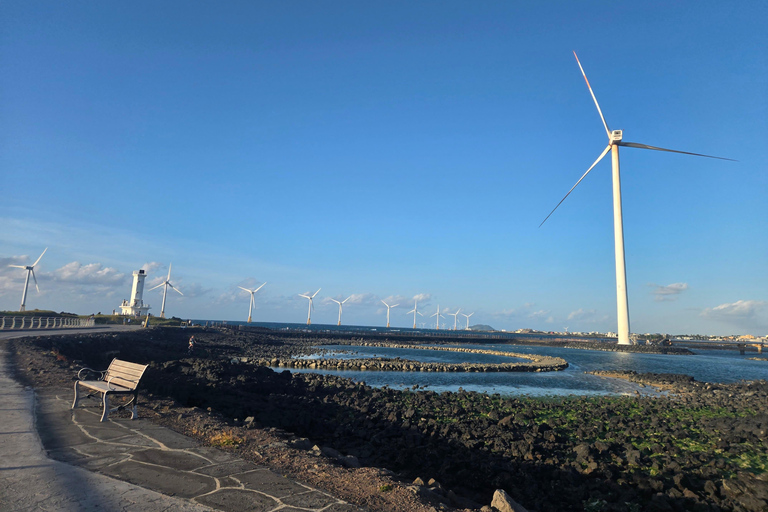 Jeju: Southwest & West Coast Highlights Full Day Bus Tour
