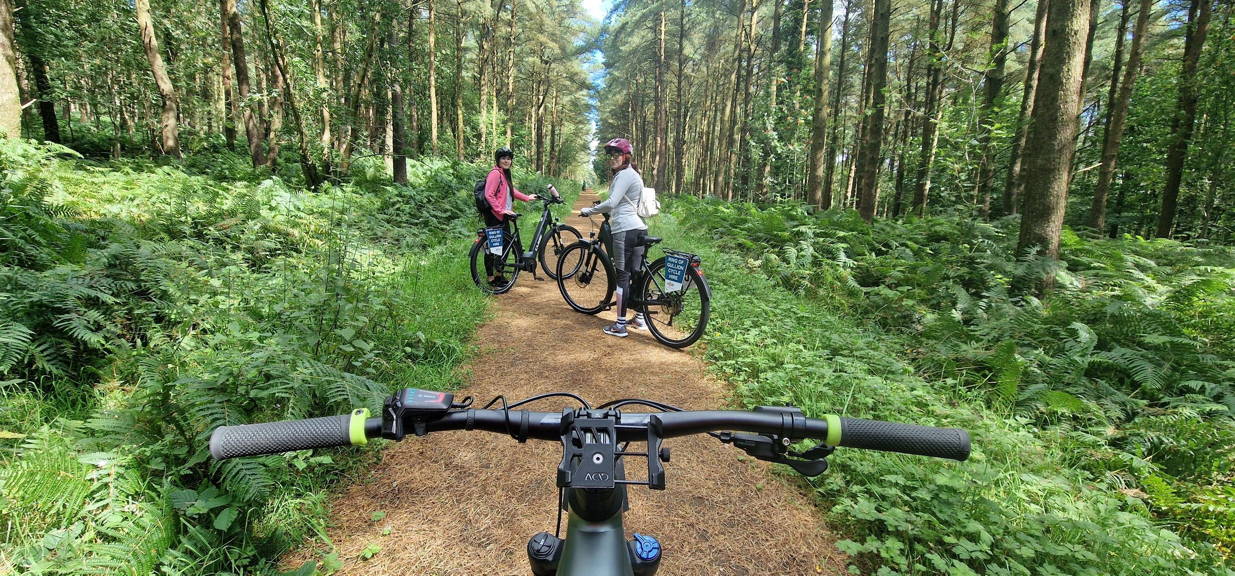 Elektrofahrrad-Erlebnis auf dem Berg Slieve Gullion