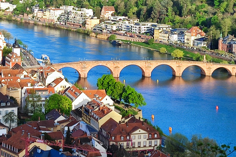 High Lights of Heidelberg - Private Tour of Castle and Town Heidelberg: All Inclusive Private Tour - Castle and Old Town