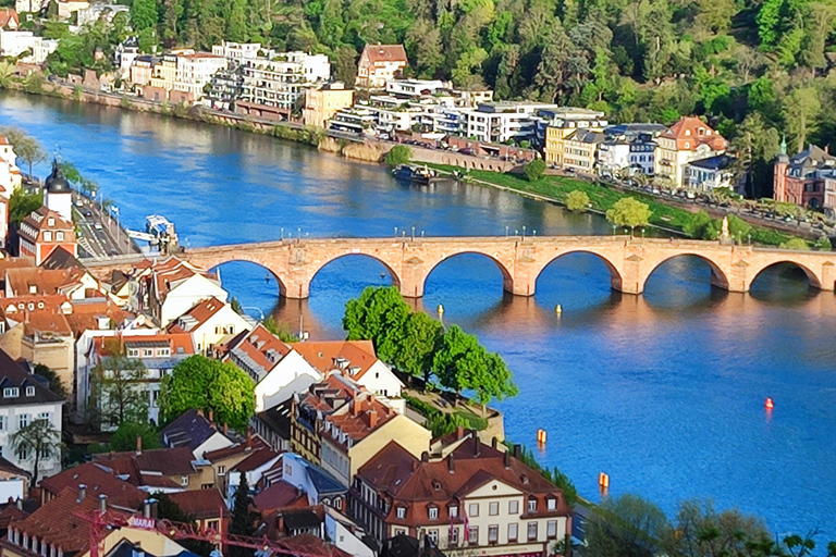 High Lights of Heidelberg - Private Tour of Castle and Town Heidelberg: All Inclusive Private Tour - Castle and Old Town