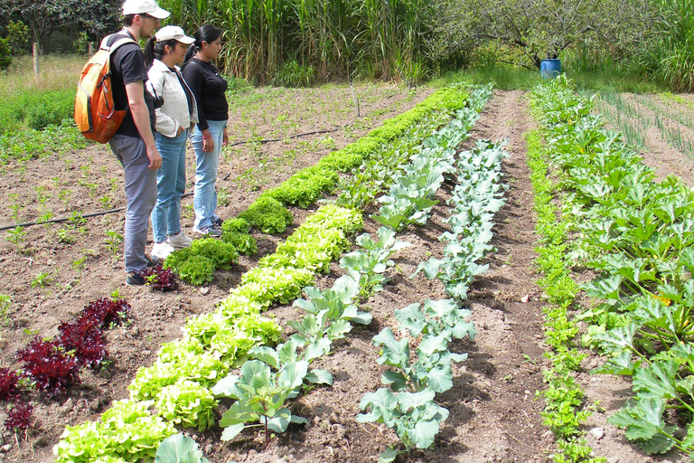 Quito: Nayón Village Tour with Farm Visit