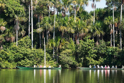 Excursión 4D Eco-Aventura Paraíso Amazónico - Puerto Maldonado