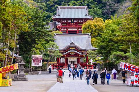 Tour de 1 dia pelo Buda de Kamakura, Enoshima, santuário saindo de TóquioVocê será buscado na estação de Shinjuku às 8h30