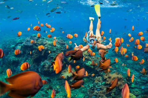 Zanzibar: Jozani forest, Maalum Cave, & Mtende Beach Tour Private tour with hotel pick up and drop-off included