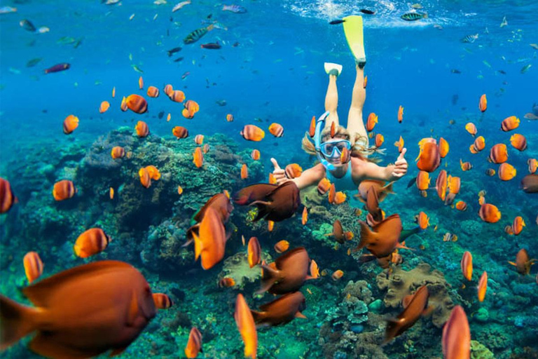 Zanzibar: Jozani forest, Maalum Cave, & Mtende Beach Tour Private tour with hotel pick up and drop-off included