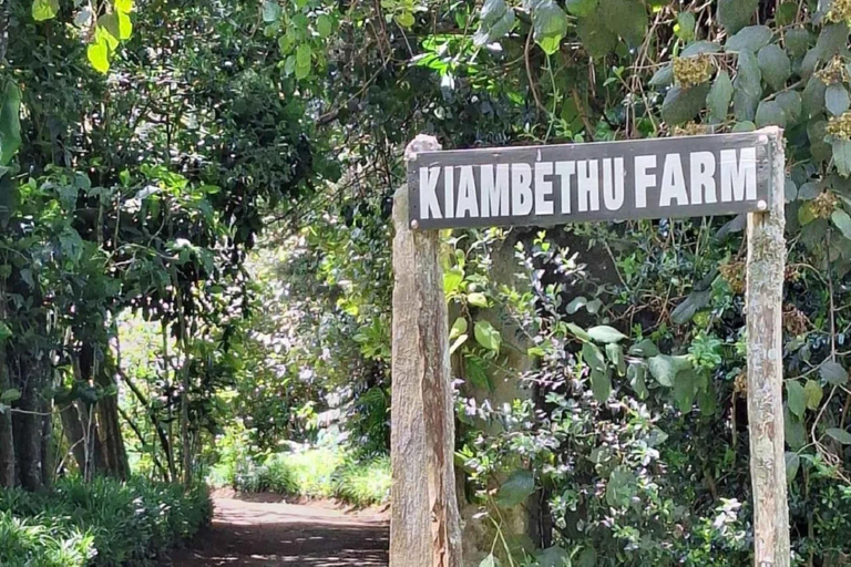 Nairobi: Kiambethu Tea Farm Tour mit Mittagessen und Transfers