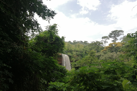 Accra: Visita privada ao Jardim Botânico e às cascatas de Aburi