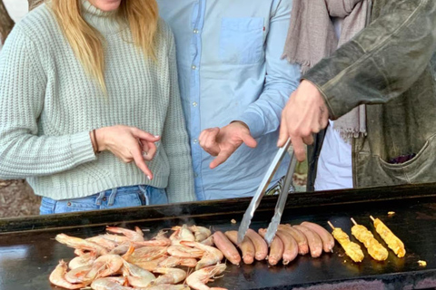 Baby Animals, Boomerangs & BBQ Lunch From Sydney: Baby Animals & Boomerangs Tour with BBQ Lunch