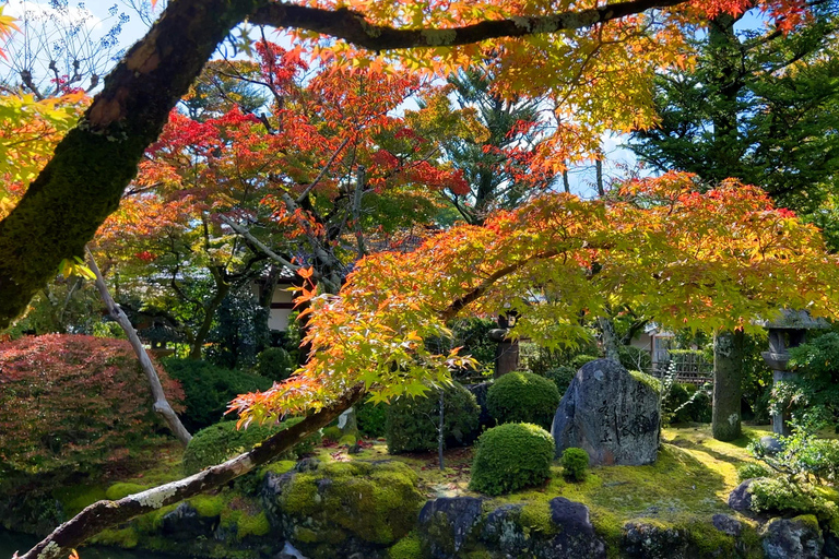 Visite privée de Kyoto. Les trésors intemporels de Kyoto