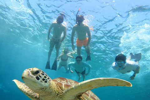 Gili Trawangan : Group/share Snorkeling 3 Gili island