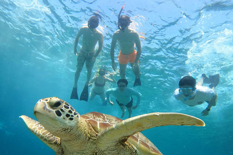 Gili Trawangan : Prywatna wycieczka Snorkeling o wschodzie i zachodzie słońca