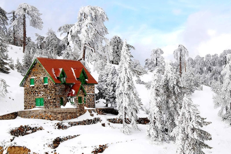 Troodos Mountains: The Real Cyprus With Local Guide English and Greek Speaking