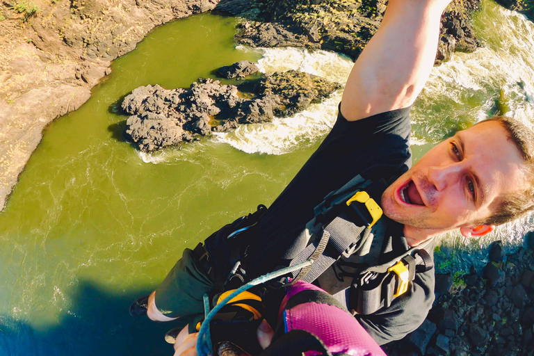 Victoria Falls: Bridge Swing