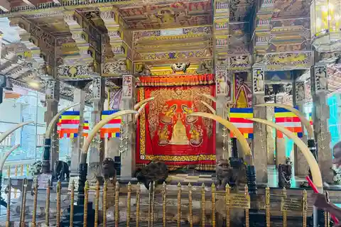 Au départ de Colombo : Excursion d'une journée à Kandy et Pinnawala