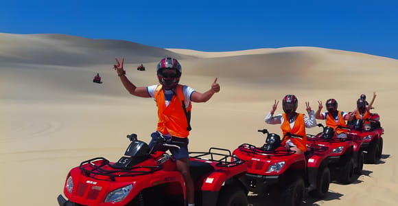 Sydney:Dolphin Watching and Sandboarding in Port Stephens