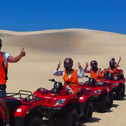 Sydney:Dolphin Watching and Sandboarding in Port Stephens