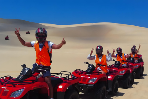 Sydney: Delfinskådning och sandboarding i Port Stephens