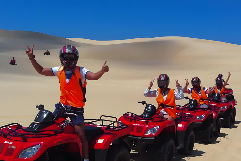 Sydney: Delfinskådning och sandboarding i Port Stephens