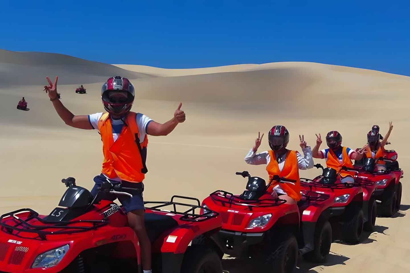 Sydney:Dolphin Watching and Sandboarding in Port Stephens - Sydney:Dolphin Watching and Sandboarding in Port Stephens