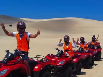 Sydney:Dolphin Watching and Sandboarding in Port Stephens
