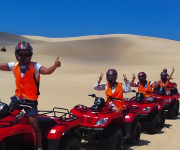 Sydney:Dolphin Watching and Sandboarding in Port Stephens