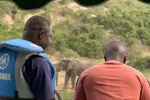 3-Day Uganda Rwanda Queen Elizabeth NP and Volcanoes NP Trip