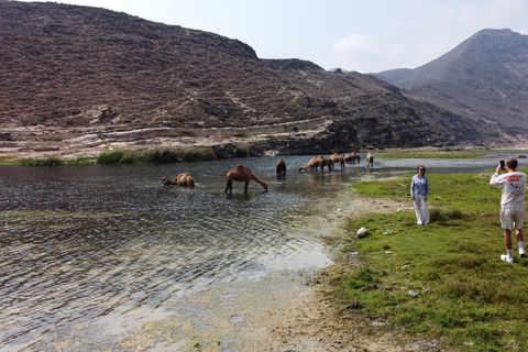 West Salalah Highlights: Coastal Wonders &amp; Scenic Views