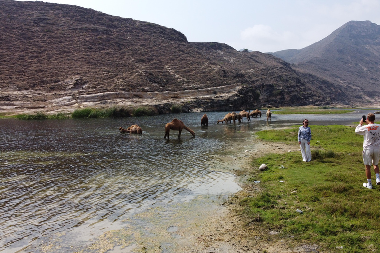 Les points forts de l&#039;ouest de Salalah : Merveilles côtières et vues panoramiques