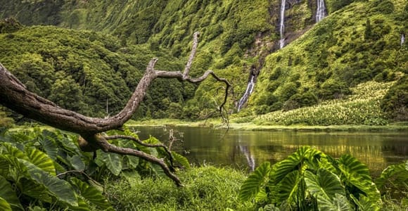Flores Island: Full-Day Lakes & Falls Tour by a Local Guide