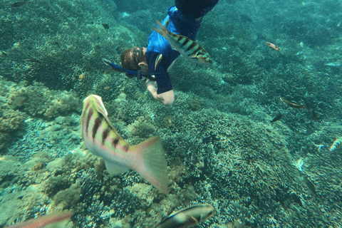 Sanur : Snorkelen bij de kust van SanurSanur : Snorkelen